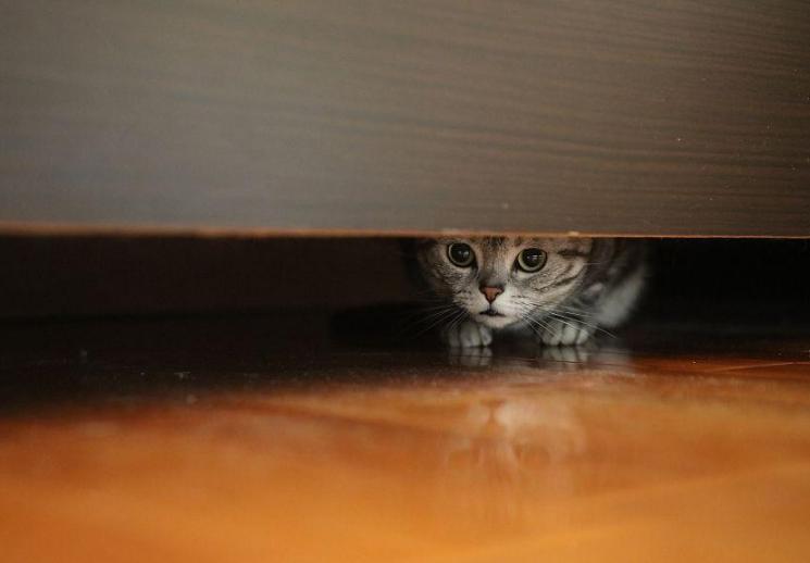 代理营业执照真的靠谱吗? 代理营业执照真的靠谱吗?