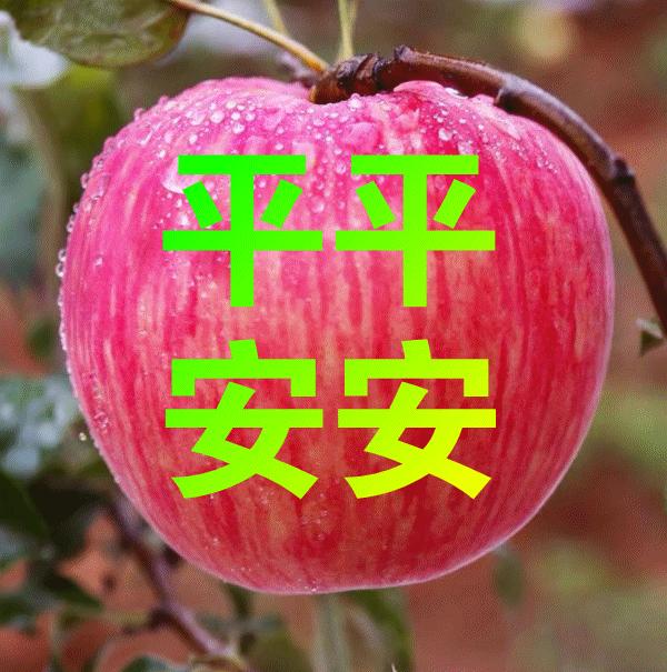 巴神的世界新手如何三天摆脱菜鸟称号？