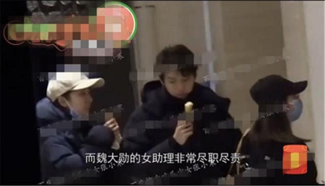 刚接猫回家就翻车？这8件事你搞错了没？