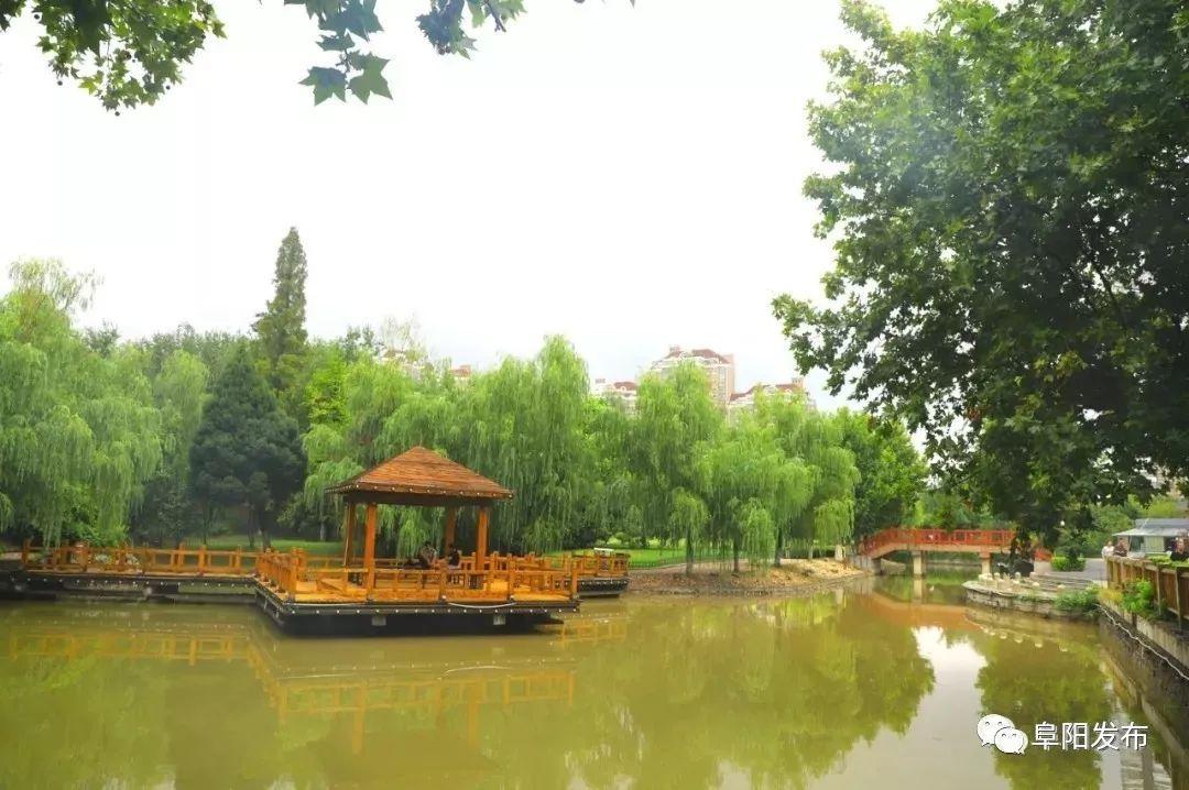 梦见小皮筋断了预示什么？2025年运势解析及化解指南