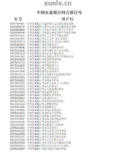 【中国农业银行官方客服电话号码】【快速查找，超实用收藏版】