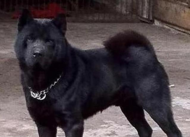 还在为选车纠结？凯美瑞2013款实测省2.3万元 十年车主实测避坑指南