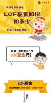 lof是什么意思？用超简单的方式给你讲明白，小白也能快速理解