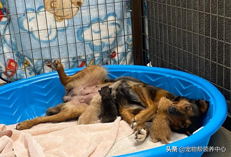 梦见卖表预示什么?2025年运势转折的3大关键 梦见卖表预示什么?2025年运势转折的3大关键