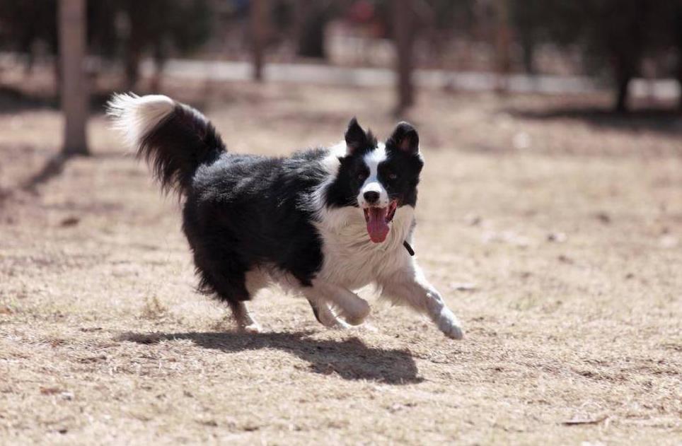 民事律师咨询电话