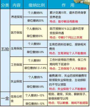 五险自己交全额是多少？2025年缴费基数怎么算？一文算清不糊涂！