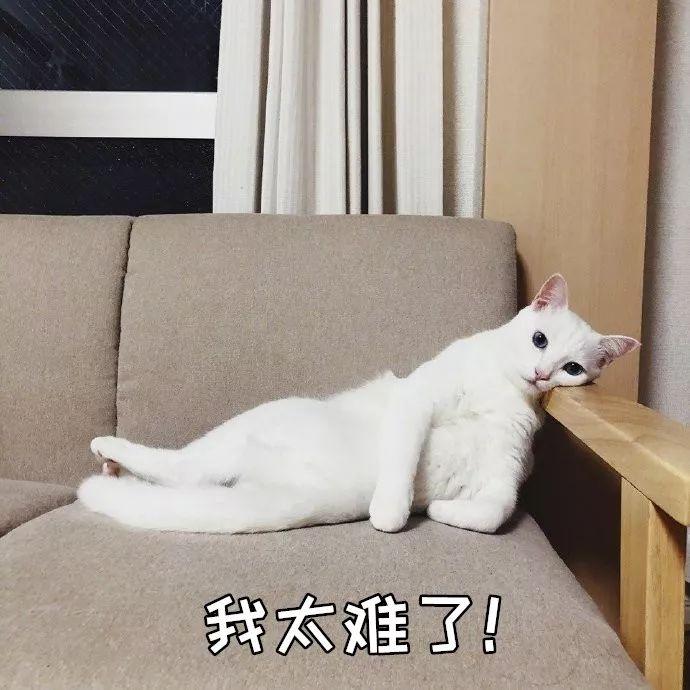 奥迪A6L二手车报价到底藏着多少猫腻？