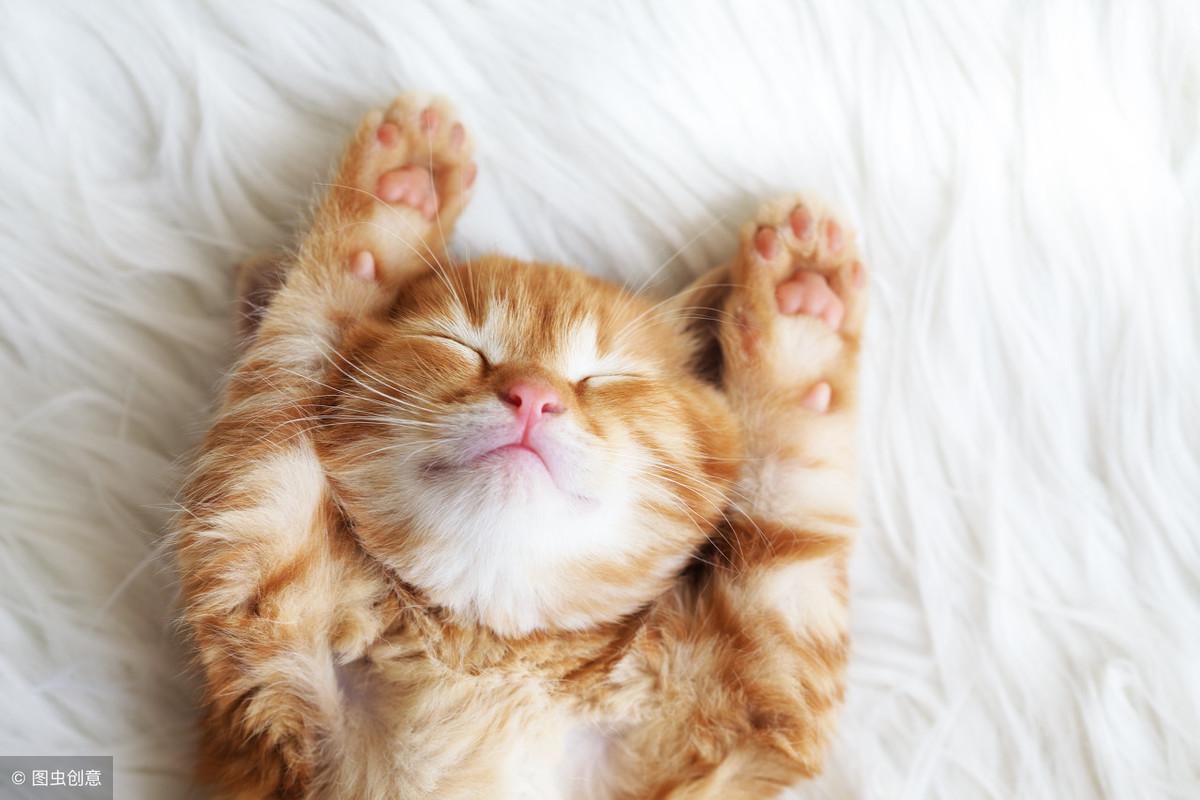 2014年的农历日期到底该怎么查? 2014年的农历日期到底该怎么查?