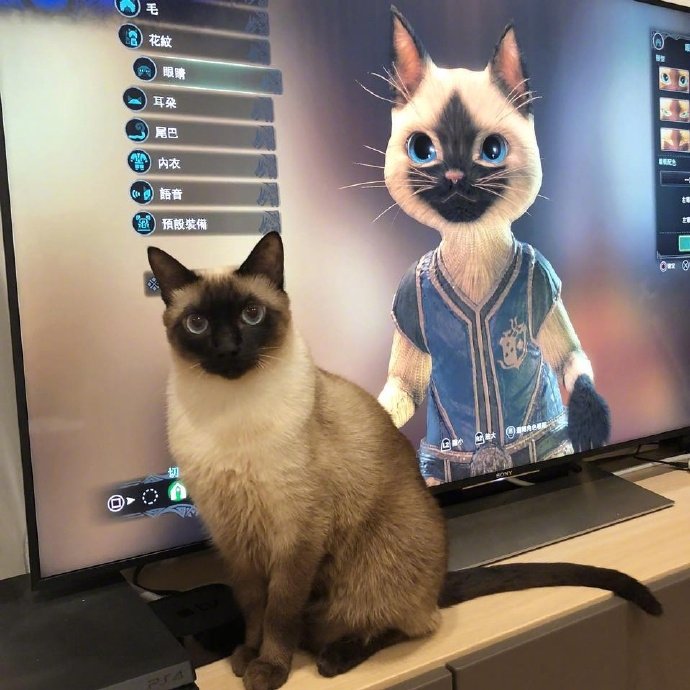 为什么别人的虚拟猫咪总比你可爱？