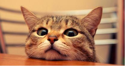 2025巨蟹座职场预警：梦见发怒砸玻璃的潜意识信号