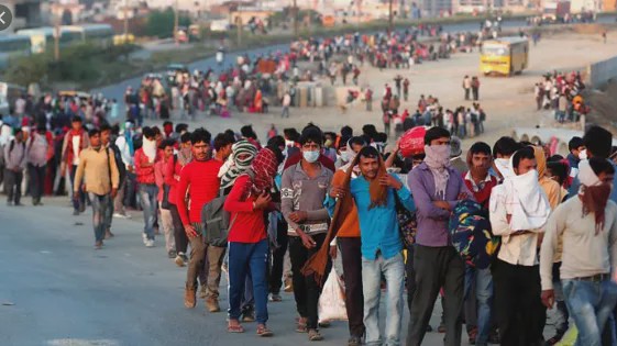 印度华侨回国原因大揭秘，背后竟有这些隐情