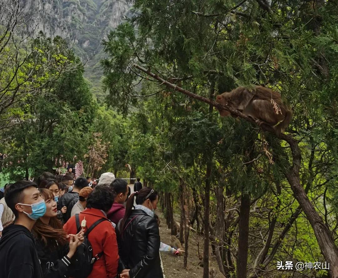 新手如何在长城论坛快速积累人气？