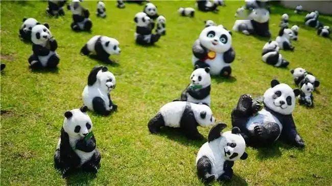 熊猫为啥总爱唱 咪咪 ？这首歌到底藏着啥秘密？