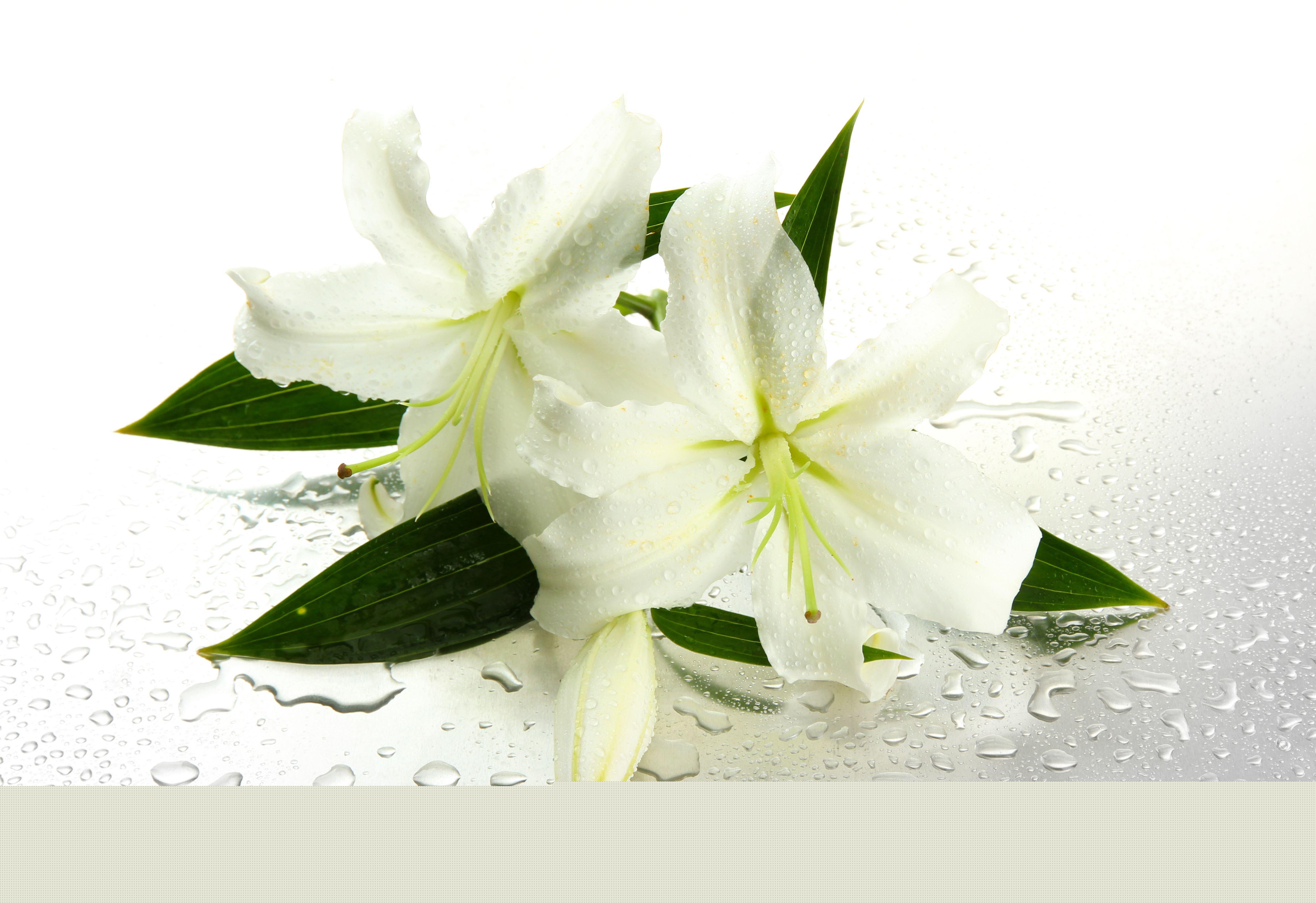 梦见看骨灰盒预示什么？2025年运势解析与化解指南