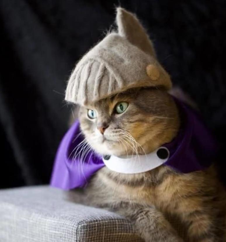 猫咪多大开始吐毛球?这5个信号新手必须知道 猫咪多大开始吐毛球?这5个信号新手必须知道