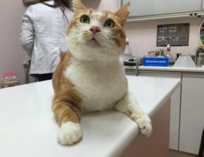 2010年11月10日上线的魔兽大灾变该怎么玩? 2010年11月10日上线的魔兽大灾变该怎么玩?