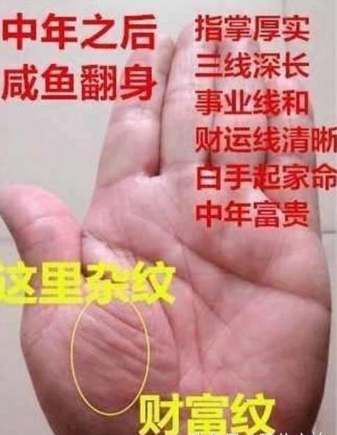 男人手掌纹路真的能预测命运吗？