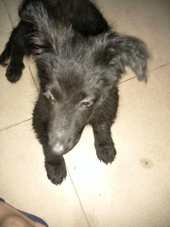 新手如何快速摆脱 稚 的尴尬期？