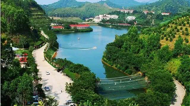 创办道家文化活动中心申请报告怎么写