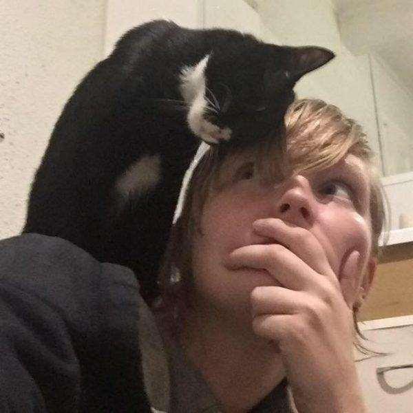 猫咪定位芯片真的能解决找猫难题吗？