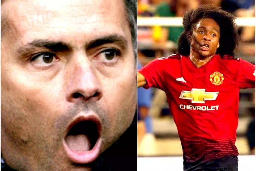 猫咪半夜突然怪叫是为啥?新手必看养猫避坑指南 猫咪半夜突然怪叫是为啥?新手必看养猫避坑指南