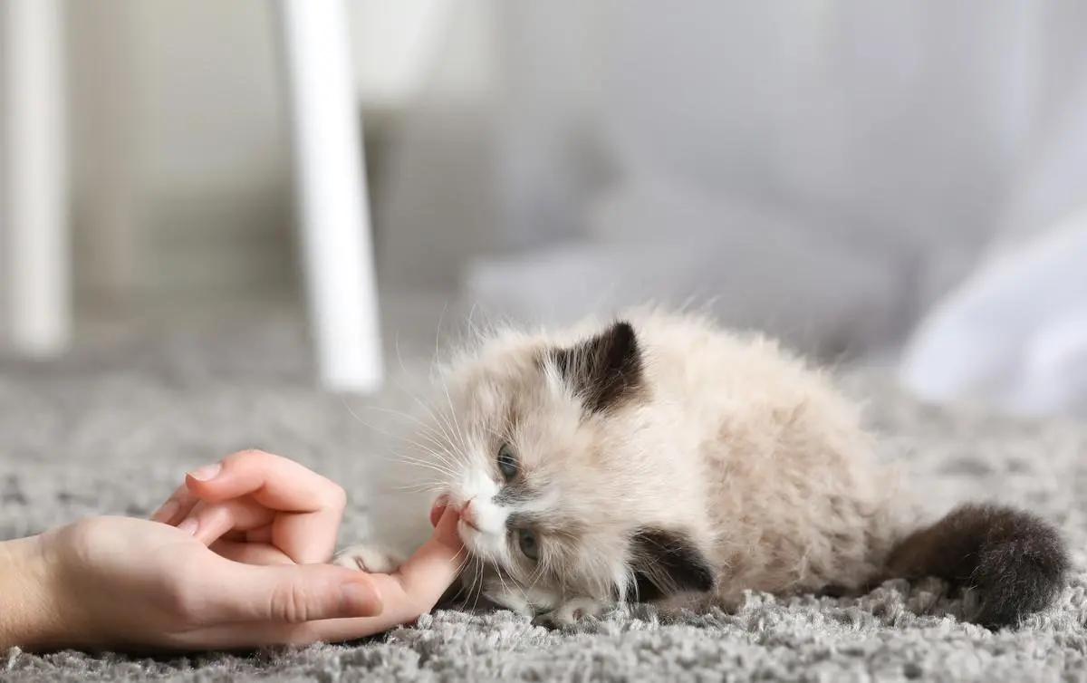 09年保时捷卡宴现在还值得买吗？