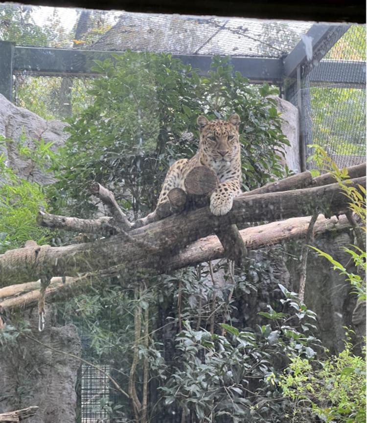 2013年的中秋节到底有什么特别? 2013年的中秋节到底有什么特别?