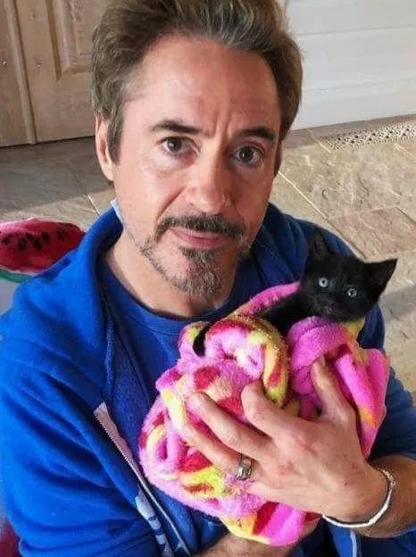 买宾利必须去4S店吗？新手必看的购车避坑指南