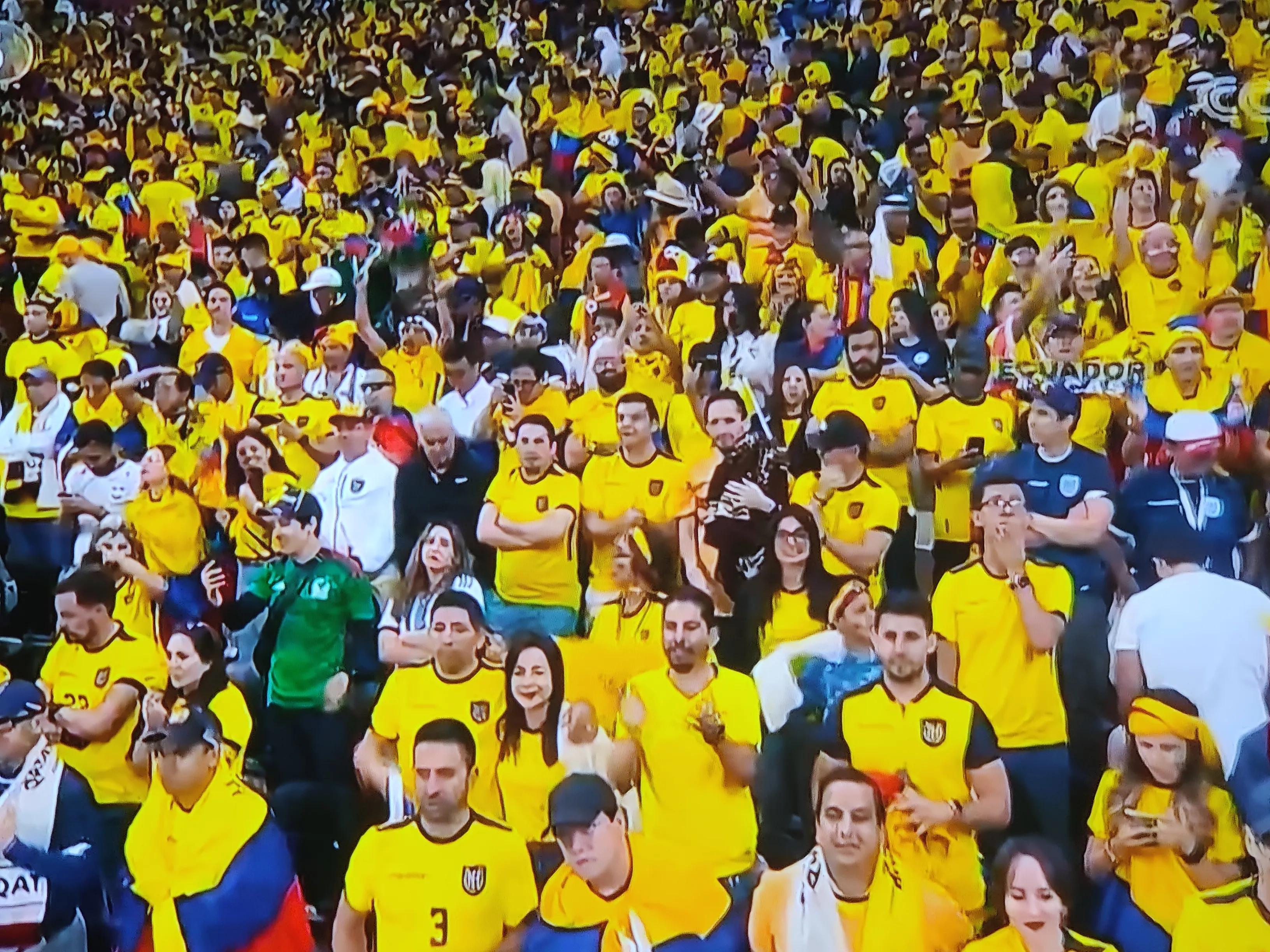 网上选车牌号网址到底怎么选才靠谱？