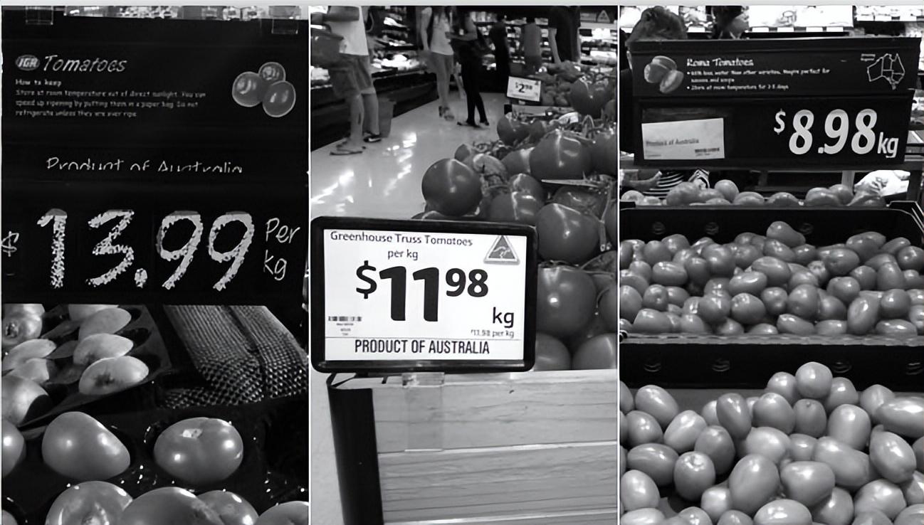 第一次登陆澳洲如何快速找到组织? 第一次登陆澳洲如何快速找到组织?