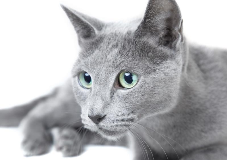 贝克汉姆踢球为啥像在画圆规? 贝克汉姆踢球为啥像在画圆规?