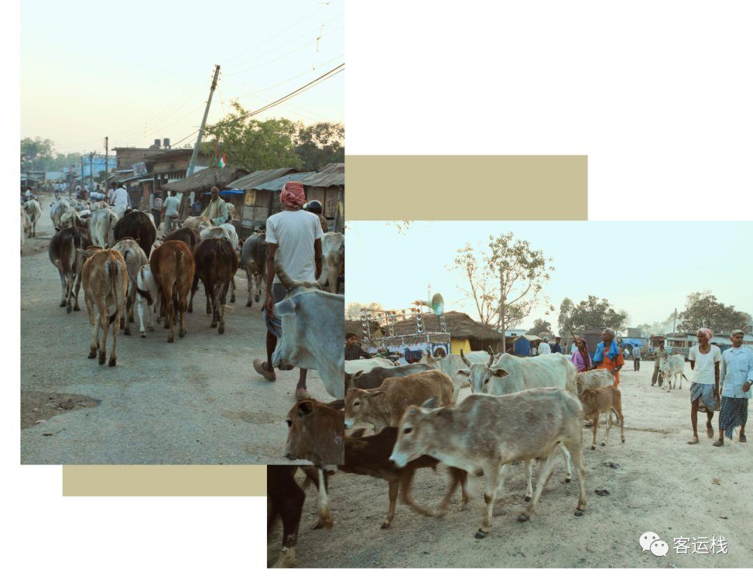 一汽大众尚酷报价虚高？购车全流程避坑指南，省3万只需三步