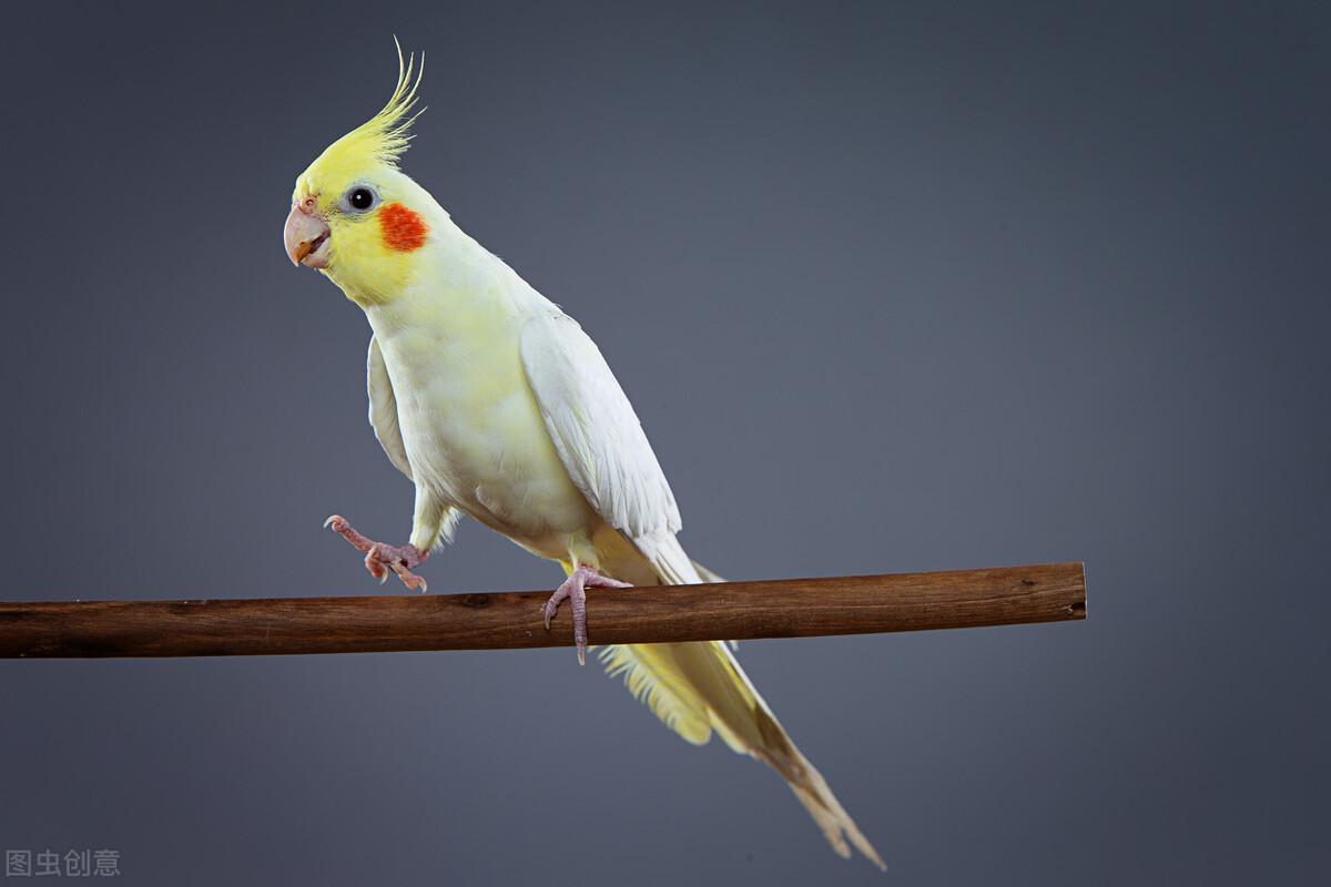 欧洲杯首轮闷平背后藏着什么门道? 欧洲杯首轮闷平背后藏着什么门道?