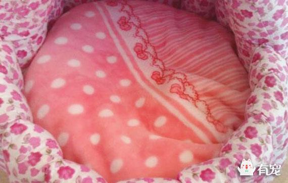 泡三个月吉利自由舰论坛能让你从菜鸟变大神？