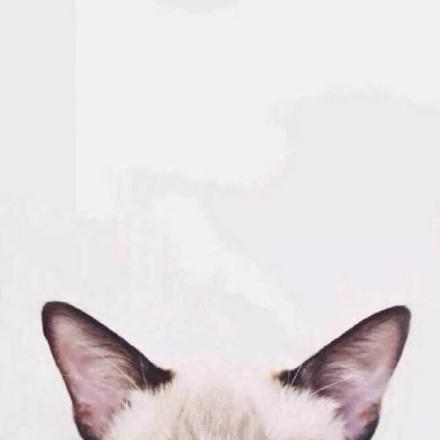 进口丰田FJ，越野经典为何历久弥新，车主真实体验揭秘