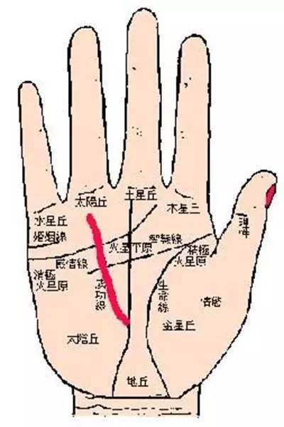 赛纳论坛到底该怎么玩？