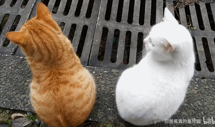 华泰柏瑞App被骗充值无法提现怎么办-平台充值无法提现如何追回