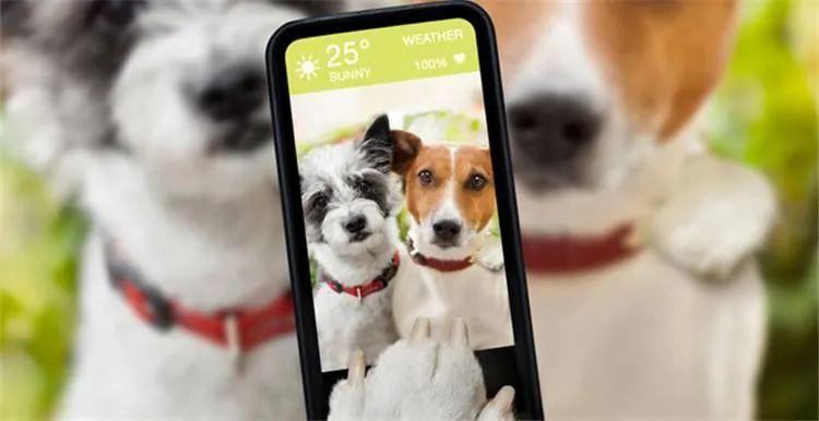 菲利佩这英雄到底该怎么玩? 菲利佩这英雄到底该怎么玩?