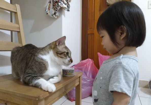 猫咪吃馒头会不会要命? 猫咪吃馒头会不会要命?