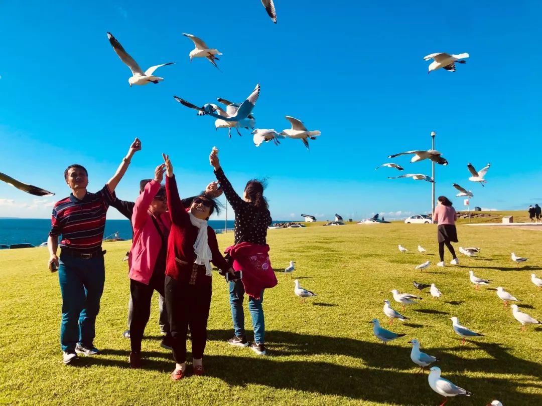 在澳洲卧龙岗生活，不上这个论坛会错过什么？