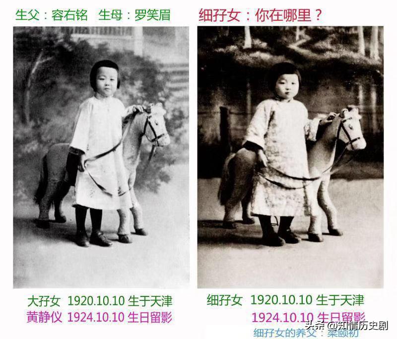 苏州哪里能免费领养到健康猫咪？