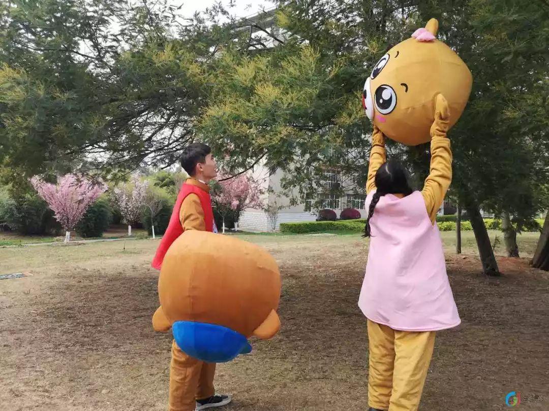 三世相法算命真的能看透前世今生吗？