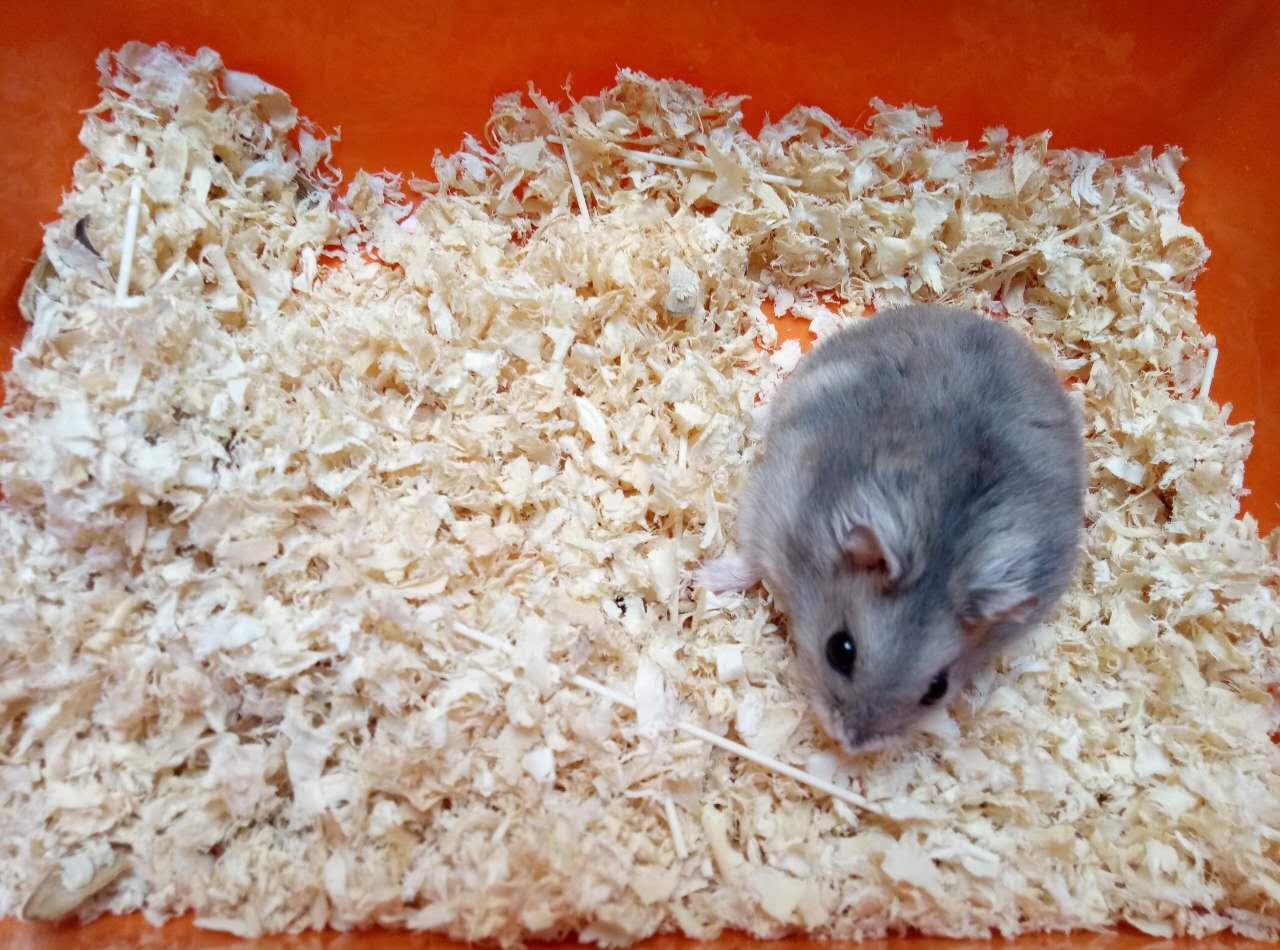 女人梦见梯子是吉兆发财?揭秘3大财富密码与破解法则 女人梦见梯子是吉兆发财?揭秘3大财富密码与破解法则