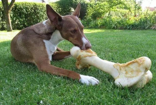 约翰森到底该怎么玩？新手必看的生存指南