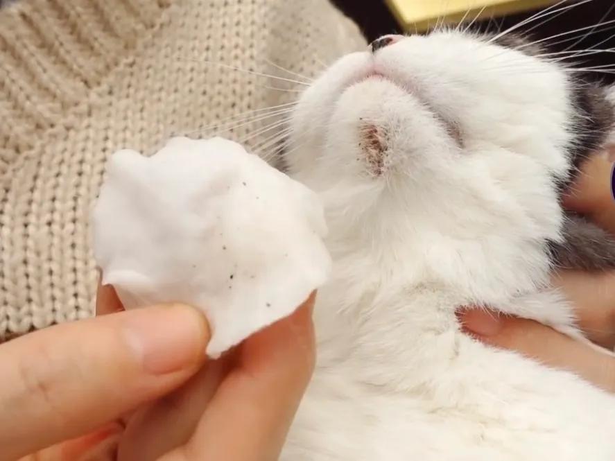 买事故车手续真的靠谱吗? 买事故车手续真的靠谱吗?