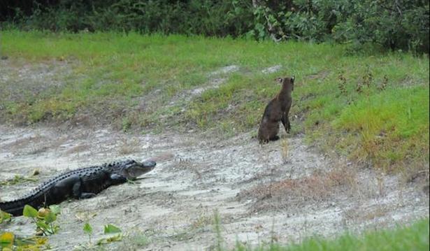开淘宝店货源去哪找呢？