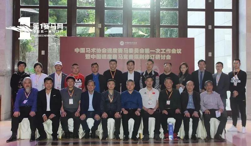 2025年梦见追马预示什么？星座运势与事业突破解码