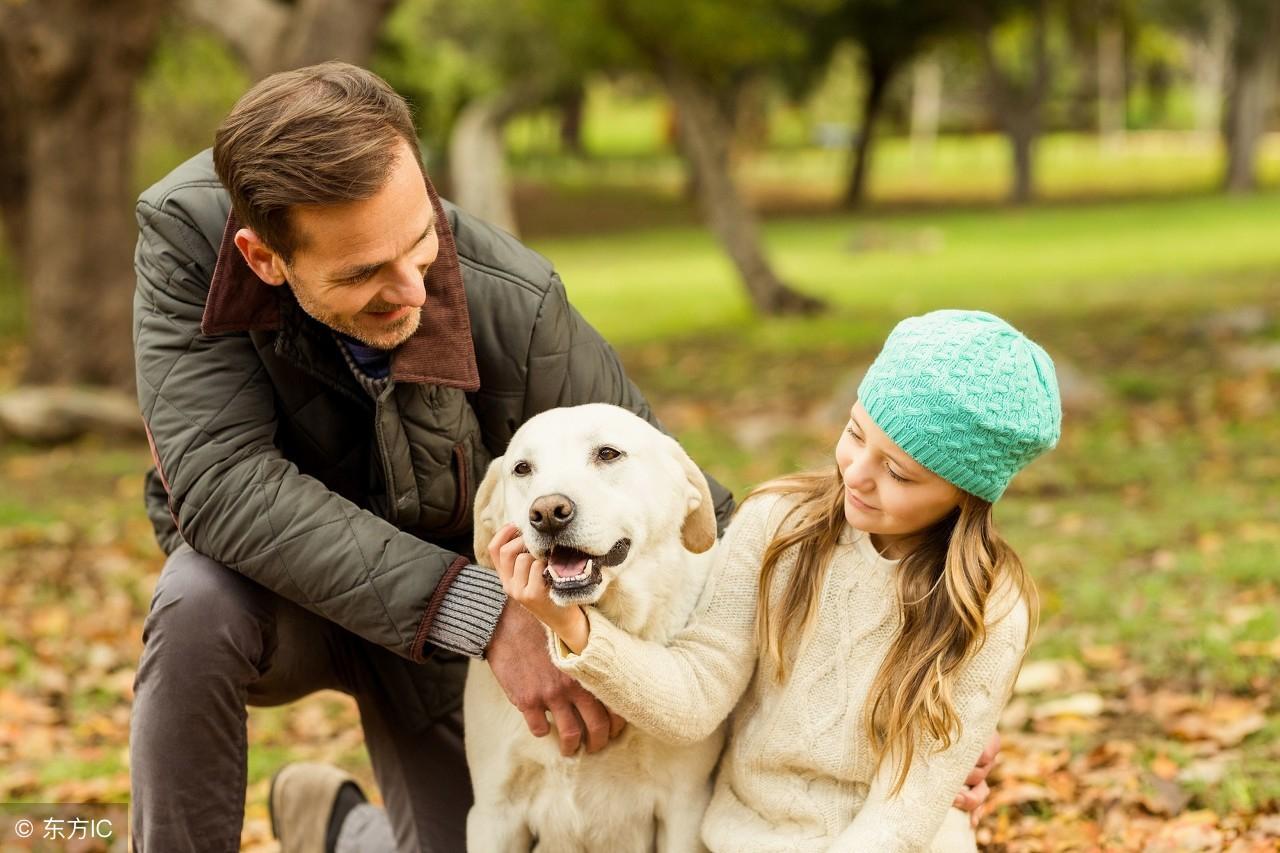 被猫抓出血了到底要不要打疫苗？