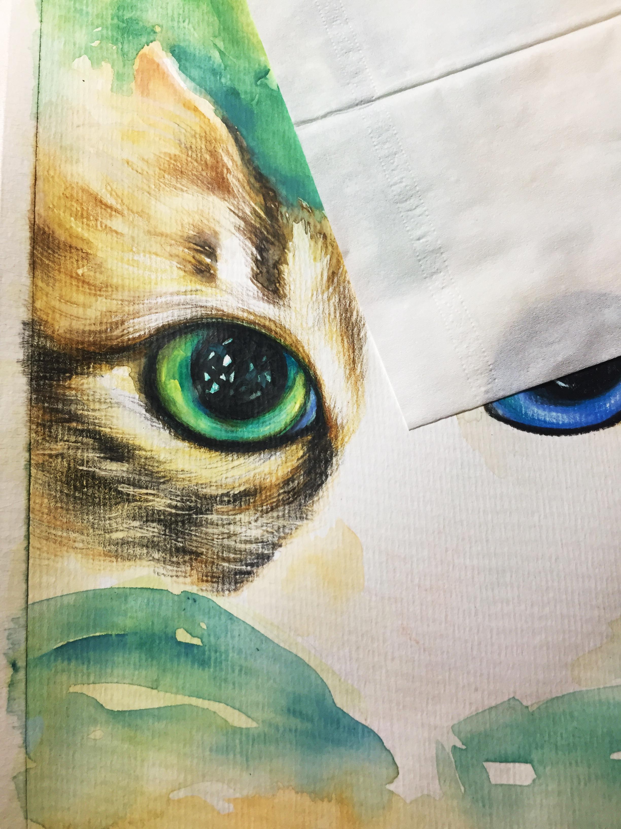 零基础也能画出萌翻天的猫咪彩铅画？