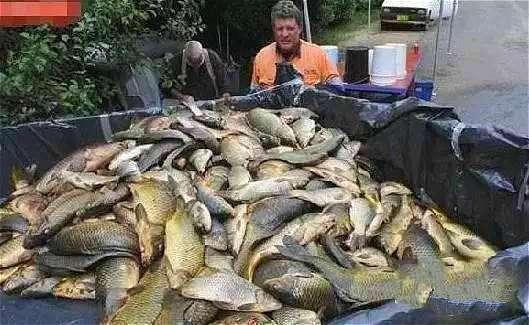 在澳洲生活必须知道的华人论坛到底怎么用？